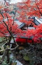av日韩不卡免费-解锁文化视角，探索日韩AV的多元魅力