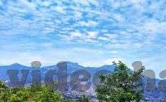 大象传媒大象传媒-大象传媒，塑造文化桥梁，传递时代声音