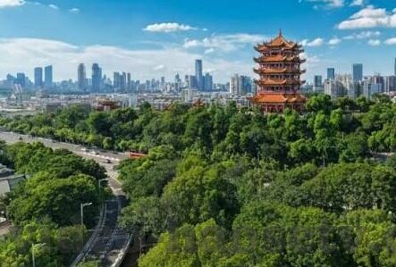 麻豆91天美-艺术与美的深度探索，麻豆91与天美的独特魅力