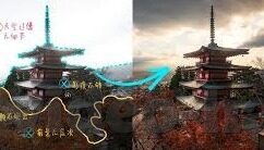 麻豆传媒 app-