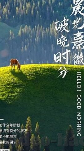 model麻豆传媒app-揭秘网络流媒体新宠，Model麻豆传媒APP的兴起与反思