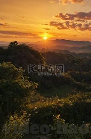 亚洲伦理小说在线观看-探索亚洲伦理小说的数字之旅，在线观看的多元视角