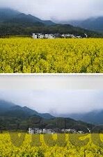 亚洲在线2017中文字幕-亚洲在线2017，中文字幕的桥梁与文化交流的盛宴